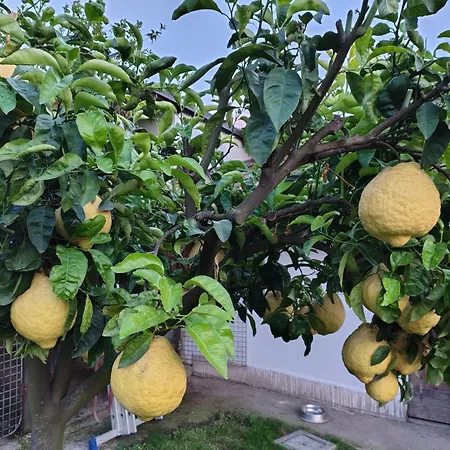 Casa Fortuna Holiday home Nocera Inferiore