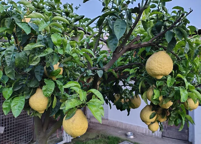 Casa Fortuna Casa de Férias Nocera Inferiore